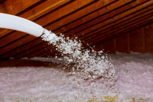 Best Insulation Maintenance and Repair in Rtez, CO